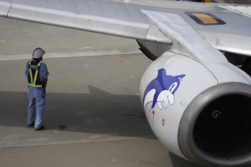 【イルカの調教師】