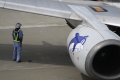 【イルカの調教師】