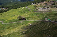 【丸山千枚田】