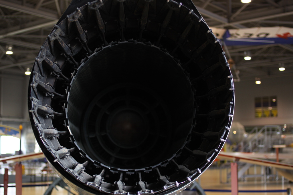 【くじらのお尻】