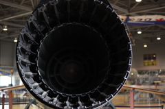 【くじらのお尻】