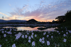 夕焼け小やけ