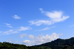 明日香に鳳凰舞う