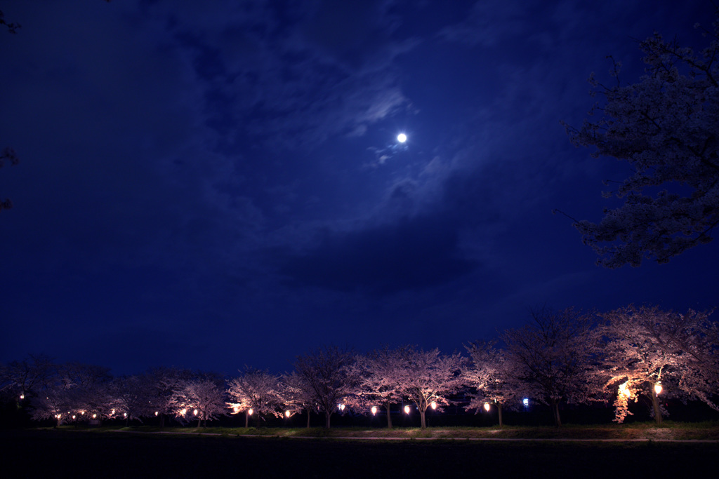 月夜