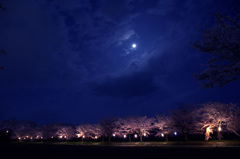 月夜