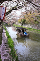 水郷を行く