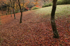 グラデーション
