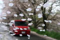 華吹雪?