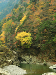 川に遊ぶ