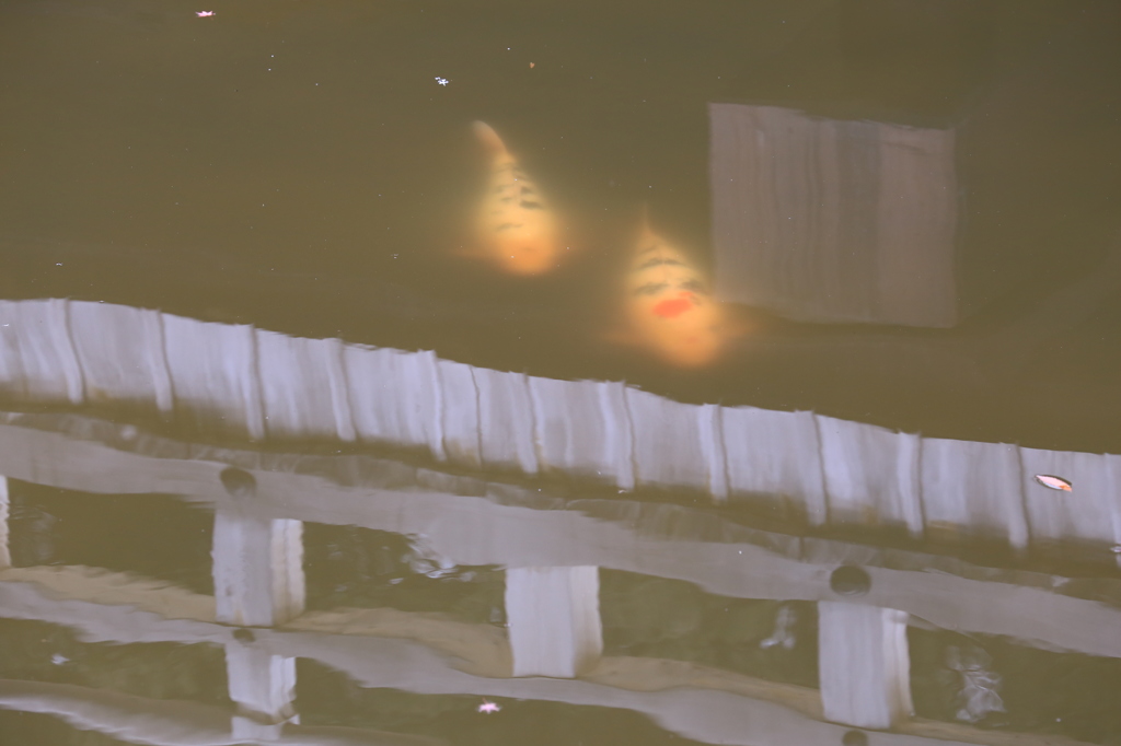 浮御堂にて