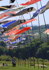 高い　たかーい！