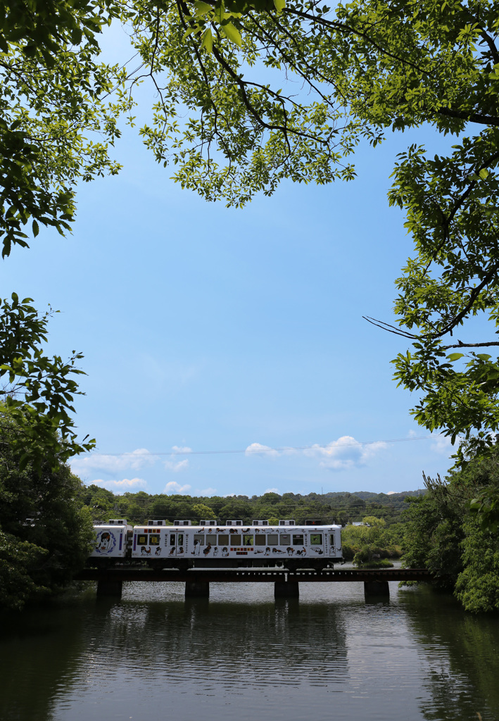 たま電車は行くよーーー