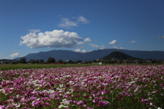 雲と山と花と