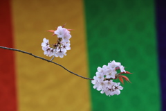 桜手毬