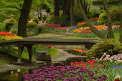 お花畑にかかる橋