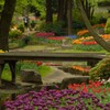 お花畑にかかる橋