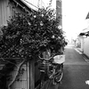 横道
