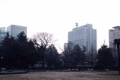 公園