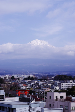 富士を望む