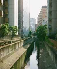 渋谷、源流