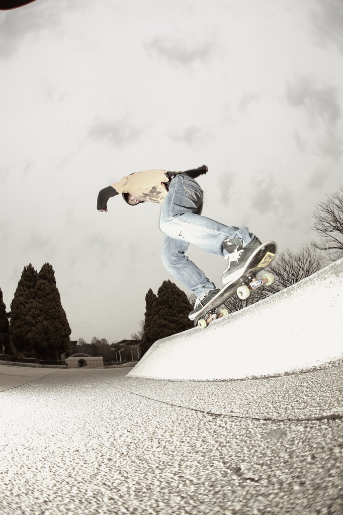 skate style3