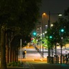 明るい道