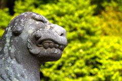 KOMAINU.