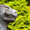 KOMAINU.