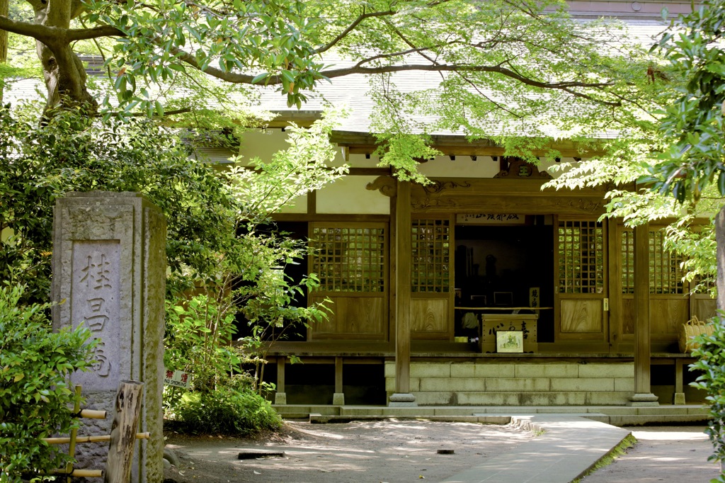 SINRYOKU.