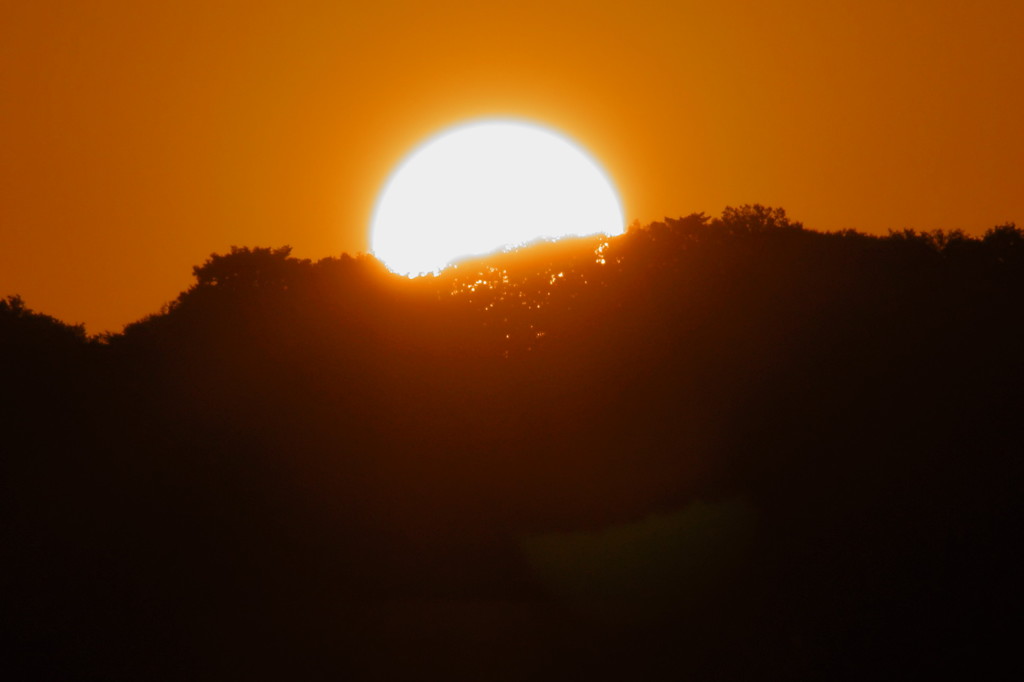 RISING SUN