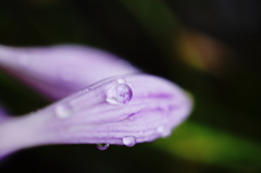 梅雨の中休み