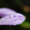 梅雨の中休み