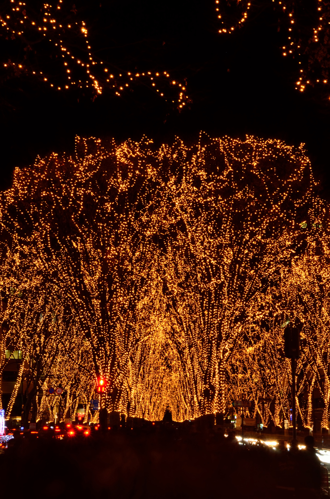 DSC_7298