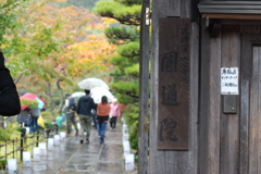 松島・円通院