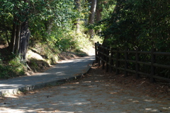 松島・福浦島内