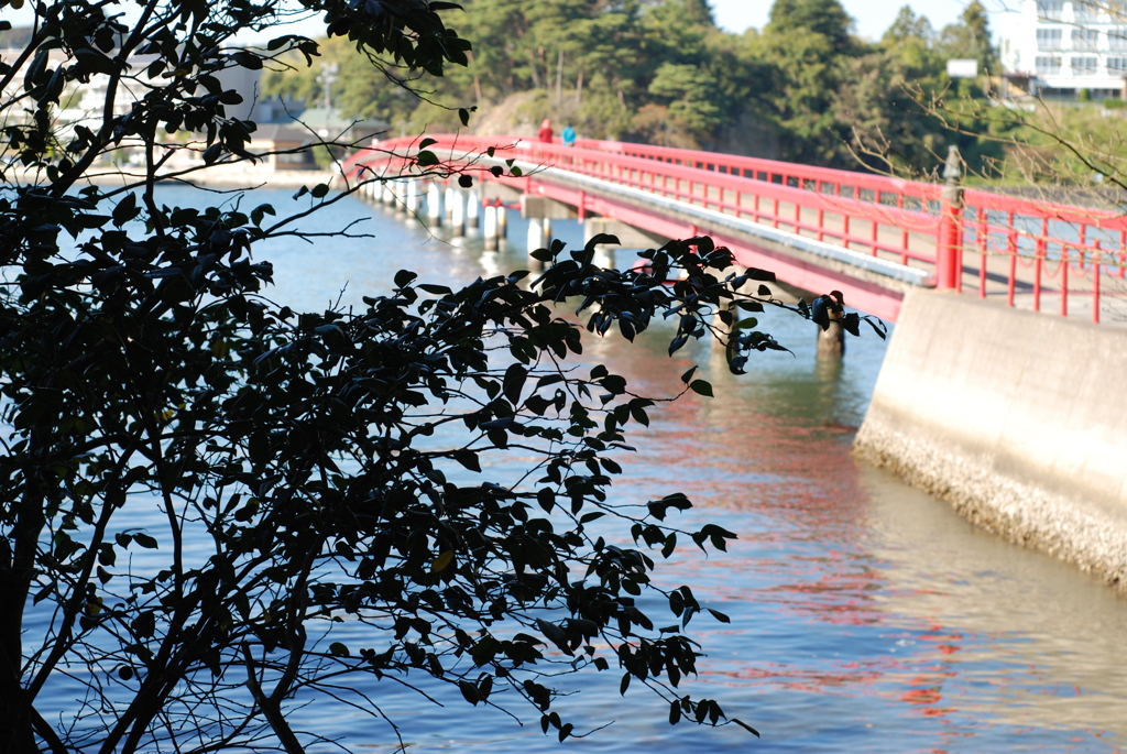 松島・福浦島からの帰り