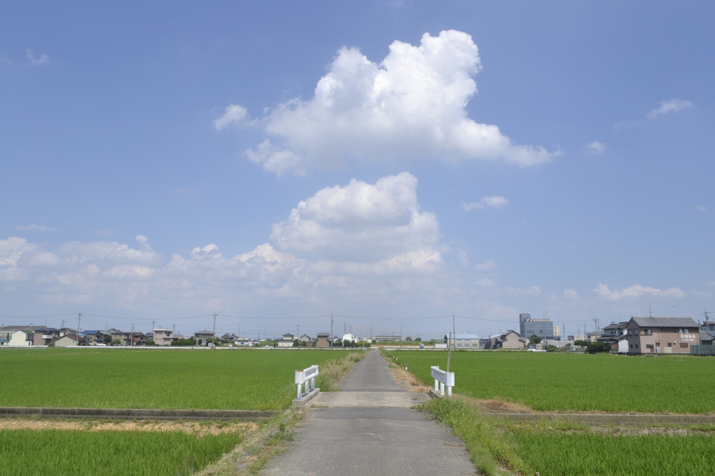 田舎道