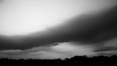 SDIM1171