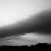 SDIM1171
