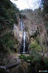 DSC03403-4