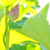 くるくる