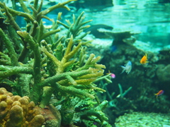 水族館