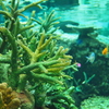 水族館