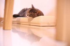 coco
