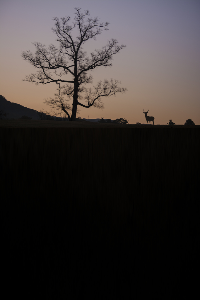 Deer World