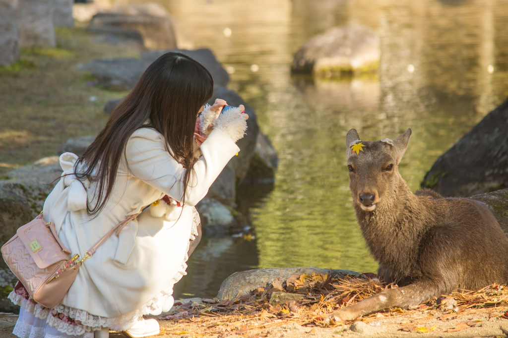 こっち向いてよ♪