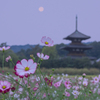Japanese Autumn