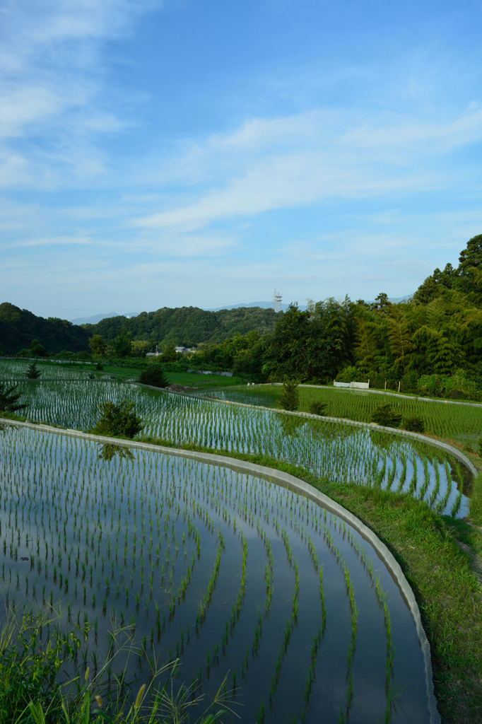 田園風景