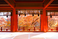 紅葉を愛でる談い山