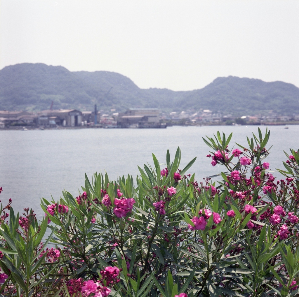 尾道水道